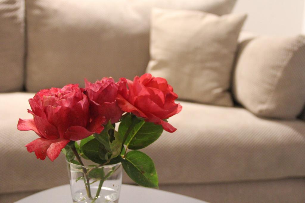 Filipa Apartment Kotor Ngoại thất bức ảnh
